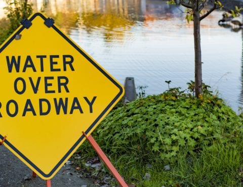 Identify a Previously Flooded Car